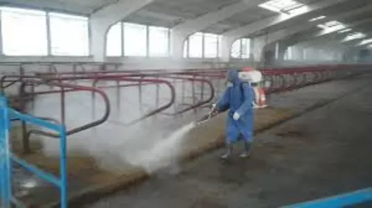 Дезинфекція