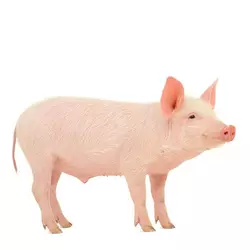 БМВД ростовой для свиней, 15%