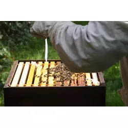 Байварол, проти паразитів бджіл